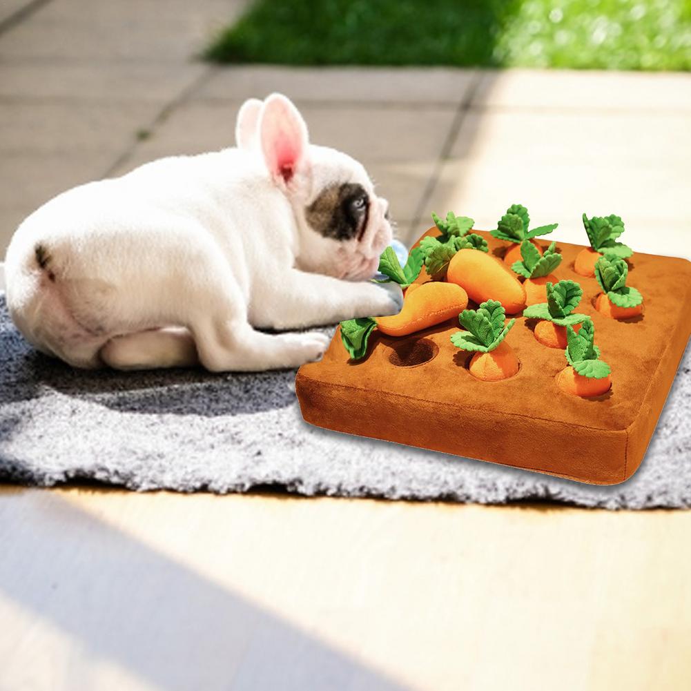 Dog Schnüffelspiel
